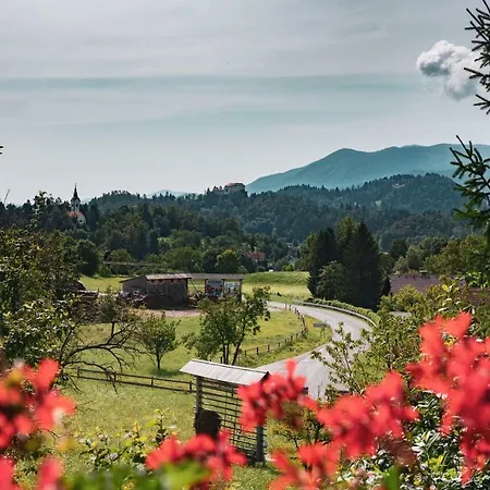 Apartmaji Retro * Spodnje Gorje