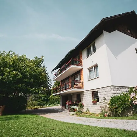 Apartmaji Retro Spodnje Gorje