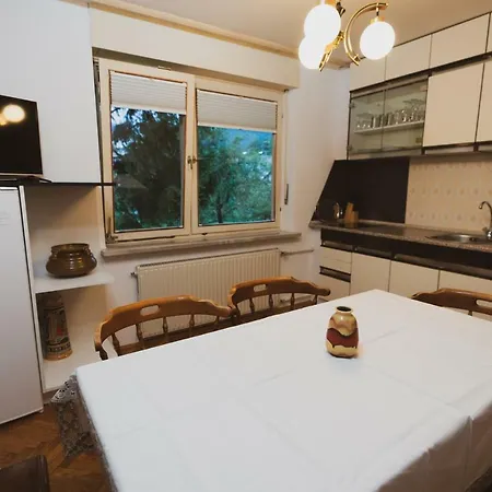 Апартаменты Apartmaji Retro Spodnje Gorje