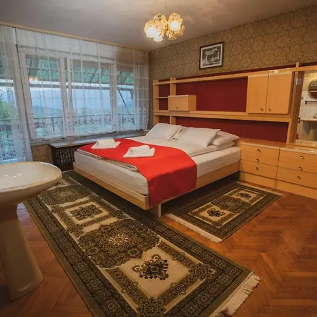 Appartamento Apartmaji Retro Spodnje Gorje