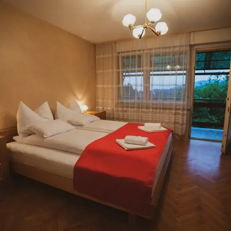 Apartmaji Retro Apartamento Spodnje Gorje