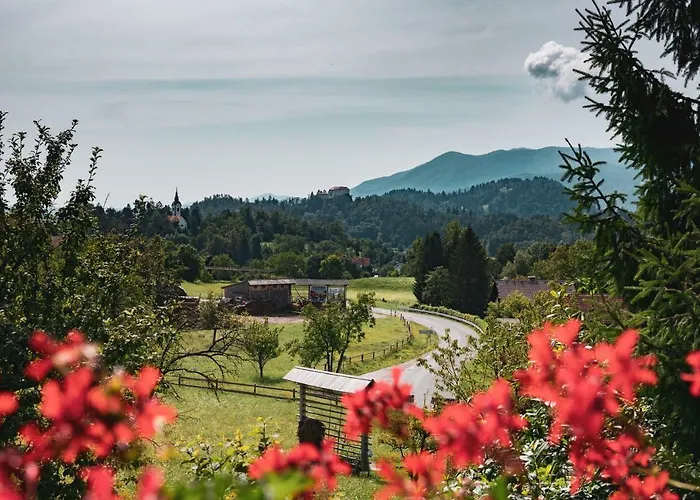 Apartmaji Retro * Spodnje Gorje